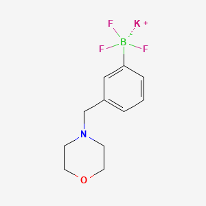 molecular formula C11H14BF3KNO B13470232 Potassium trifluoro(3-(morpholinomethyl)phenyl)borate 