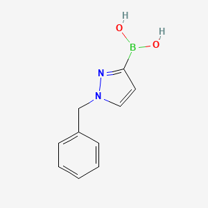 molecular formula C10H11BN2O2 B13470252 (1-benzyl-1H-pyrazol-3-yl)boronic acid 