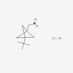 molecular formula C10H20ClN B13470279 1-{3-Tert-butylbicyclo[1.1.1]pentan-1-yl}methanamine hydrochloride 