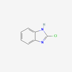 B1347102 2-Chlorobenzimidazole CAS No. 4857-06-1
