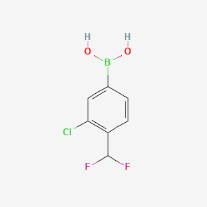 molecular formula C7H6BClF2O2 B13471020 (3-Chloro-4-(difluoromethyl)phenyl)boronic acid 