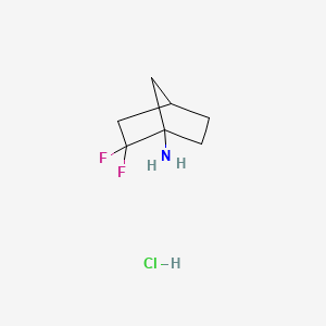 molecular formula C7H12ClF2N B13471335 2,2-Difluorobicyclo[2.2.1]heptan-1-amine hydrochloride 