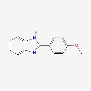molecular formula C14H12N2O B1347242 2-(4-methoxyphenyl)-1H-benzimidazole CAS No. 2620-81-7