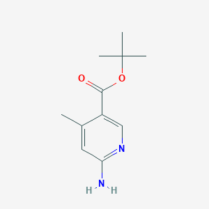 molecular formula C11H16N2O2 B13472828 tert-Butyl 6-amino-4-methylnicotinate 