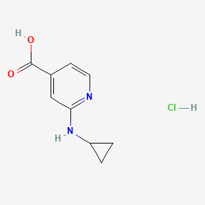 molecular formula C9H11ClN2O2 B13473073 2-(Cyclopropylamino)pyridine-4-carboxylic acid hydrochloride 