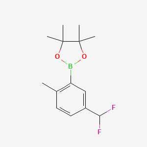 molecular formula C14H19BF2O2 B13473340 2-[5-(Difluoromethyl)-2-methylphenyl]-4,4,5,5-tetramethyl-1,3,2-dioxaborolane 