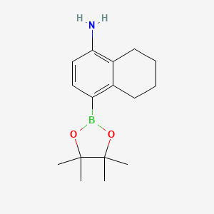 molecular formula C16H24BNO2 B13473555 4-(Tetramethyl-1,3,2-dioxaborolan-2-yl)-5,6,7,8-tetrahydronaphthalen-1-amine 