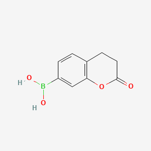 molecular formula C9H9BO4 B13474650 (2-Oxochroman-7-yl)boronic acid 