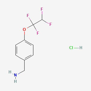 molecular formula C9H10ClF4NO B13475456 1-[4-(1,1,2,2-Tetrafluoroethoxy)phenyl]methanaminehydrochloride 