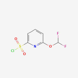 molecular formula C6H4ClF2NO3S B13475764 6-(Difluoromethoxy)pyridine-2-sulfonyl chloride 