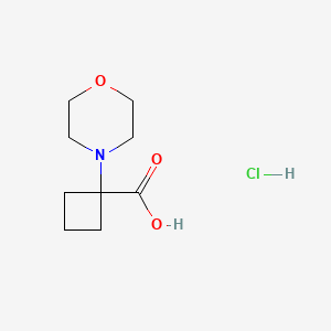 1-(Morpholin-4-yl)cyclobutane-1-carboxylic acid hydrochloride