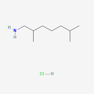 molecular formula C9H22ClN B13476282 2,6-Dimethylheptan-1-amine hydrochloride 