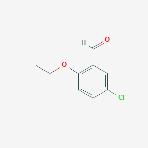molecular formula C9H9ClO2 B1347633 5-Chloro-2-ethoxybenzaldehyde CAS No. 27682-64-0
