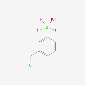 molecular formula C7H6BClF3K B13476373 Potassium (3-(chloromethyl)phenyl)trifluoroborate 