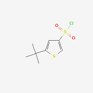 molecular formula C8H11ClO2S2 B13476651 5-Tert-butylthiophene-3-sulfonyl chloride 