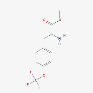 molecular formula C11H12F3NO3 B13477217 Methyl 2-amino-3-(4-(trifluoromethoxy)phenyl)propanoate 