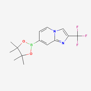 molecular formula C14H16BF3N2O2 B13477455 7-(Tetramethyl-1,3,2-dioxaborolan-2-yl)-2-(trifluoromethyl)imidazo[1,2-a]pyridine 