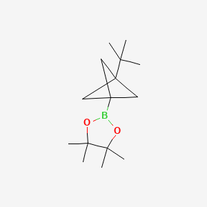 2-{3-Tert-butylbicyclo[1.1.1]pentan-1-yl}-4,4,5,5-tetramethyl-1,3,2-dioxaborolane