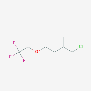 molecular formula C7H12ClF3O B13477745 1-Chloro-2-methyl-4-(2,2,2-trifluoroethoxy)butane 