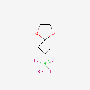 molecular formula C6H9BF3KO2 B13478086 Potassium trifluoro(5,8-dioxaspiro[3.4]octan-2-yl)borate 