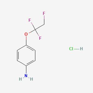 molecular formula C8H9ClF3NO B13478692 4-(1,1,2-Trifluoroethoxy)benzeneamine hydrochloride 