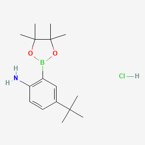 molecular formula C16H27BClNO2 B13478820 4-(tert-Butyl)-2-(4,4,5,5-tetramethyl-1,3,2-dioxaborolan-2-yl)aniline hydrochloride 