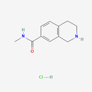 molecular formula C11H15ClN2O B13479866 N-methyl-1,2,3,4-tetrahydroisoquinoline-7-carboxamide hydrochloride 