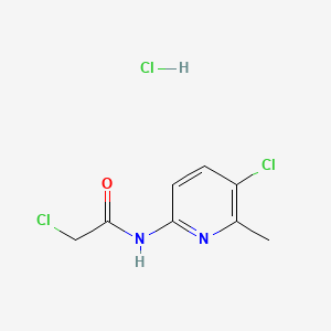 molecular formula C8H9Cl3N2O B13480838 2-chloro-N-(5-chloro-6-methylpyridin-2-yl)acetamide hydrochloride 