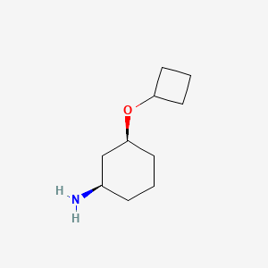 molecular formula C10H19NO B13481331 Rel-(1R,3S)-3-cyclobutoxycyclohexan-1-amine 