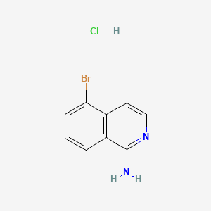 molecular formula C9H8BrClN2 B13482185 5-Bromoisoquinolin-1-amine hydrochloride 