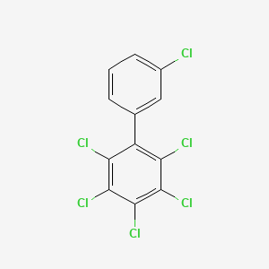 molecular formula C12H4Cl6 B1348240 2,3,3',4,5,6-Hexachlorobiphenyl CAS No. 41411-62-5