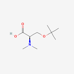 molecular formula C9H19NO3 B13482654 (2R)-3-(tert-butoxy)-2-(dimethylamino)propanoic acid 