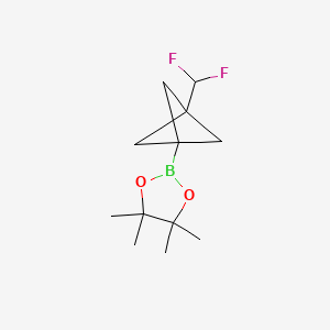 molecular formula C12H19BF2O2 B13482842 2-(3-(Difluoromethyl)bicyclo[1.1.1]pentan-1-YL)-4,4,5,5-tetramethyl-1,3,2-dioxaborolane 