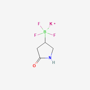 molecular formula C4H6BF3KNO B13483389 Potassium trifluoro(5-oxopyrrolidin-3-yl)borate 