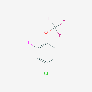 molecular formula C7H3ClF3IO B13483442 4-Chloro-2-iodo-1-(trifluoromethoxy)benzene 