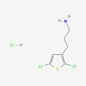 molecular formula C7H10Cl3NS B13483528 3-(2,5-Dichlorothiophen-3-yl)propan-1-amine hydrochloride 