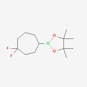 molecular formula C13H23BF2O2 B13483632 2-(4,4-Difluorocycloheptyl)-4,4,5,5-tetramethyl-1,3,2-dioxaborolane 