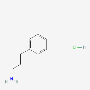 molecular formula C13H22ClN B13484877 3-(3-Tert-butylphenyl)propan-1-amine hydrochloride 