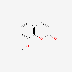molecular formula C10H8O3 B1348513 8-甲氧基香豆素 CAS No. 2445-81-0