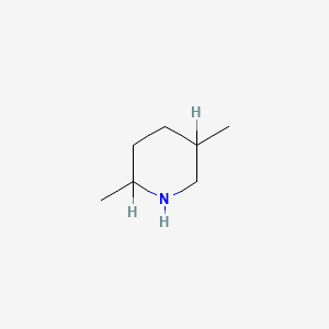 molecular formula C7H15N B1348548 2,5-Dimethylpiperidine CAS No. 34893-50-0