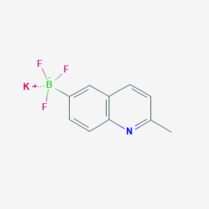 molecular formula C10H8BF3KN B13486828 Potassium trifluoro(2-methylquinolin-6-yl)borate 