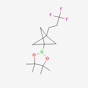 4,4,5,5-Tetramethyl-2-[3-(3,3,3-trifluoropropyl)bicyclo[1.1.1]pentan-1-yl]-1,3,2-dioxaborolane