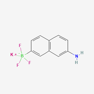 molecular formula C10H8BF3KN B13487204 Potassium (7-aminonaphthalen-2-yl)trifluoroborate 