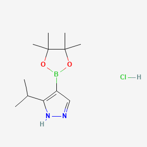 molecular formula C12H22BClN2O2 B13487245 3-Isopropyl-4-(4,4,5,5-tetramethyl-1,3,2-dioxaborolan-2-yl)-1H-pyrazole hydrochloride 