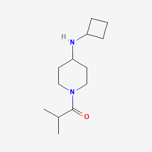 molecular formula C13H24N2O B13488847 1-(4-(Cyclobutylamino)piperidin-1-yl)-2-methylpropan-1-one 