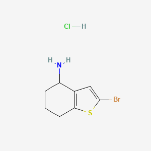 molecular formula C8H11BrClNS B13489122 2-Bromo-4,5,6,7-tetrahydro-1-benzothiophen-4-amine hydrochloride 