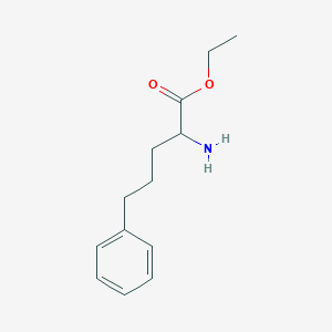 molecular formula C13H19NO2 B13489638 Ethyl 2-amino-5-phenylpentanoate 