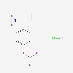 molecular formula C11H14ClF2NO B13490358 1-[4-(Difluoromethoxy)phenyl]cyclobutan-1-amine hydrochloride 