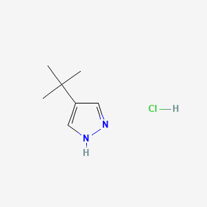 molecular formula C7H13ClN2 B13490837 4-tert-butyl-1H-pyrazole hydrochloride 