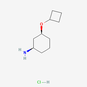 (1R,3S)-3-Cyclobutoxycyclohexan-1-amine hydrochloride